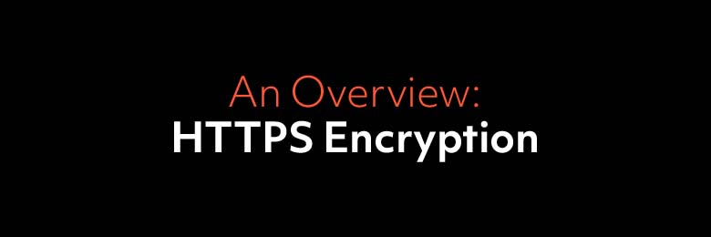 An Overview: HTTPS Encryption